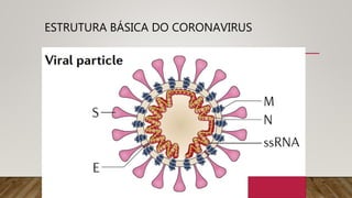 ESTRUTURA BÁSICA DO CORONAVIRUS
 