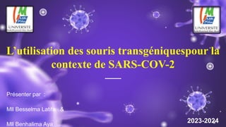 L’utilisation des souris transgéniquespour la
contexte de SARS-COV-2
Présenter par :
Mll Besselma Latifa &
Mll Benhalima Aya
2023-2024
 