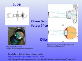 http://www.educaplus.org/luz/lente2.html
http://cnx.org/content/m42470/latest/?
collection=col11406/latest
Lupa
Ollo
Obxectivo
fotográfico
Simuladores de trazado de raios en lente:
http://www.olympusmicro.com/primer/java/lenses/converginglenses/index.html
http://hyperphysics.phy-
astr.gsu.edu/hbase/geoopt/simmag.html
 