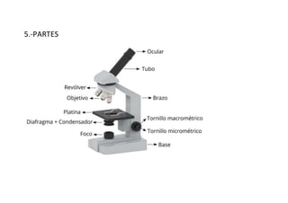 5.-PARTES