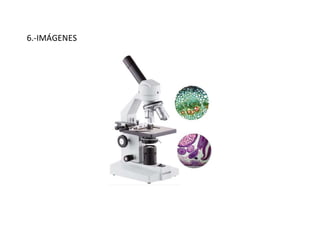 6.-IMÁGENES