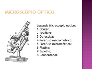 Microscópio ÓpticoLegenda Microscópio óptico: 1-Ocular;2-Revólver;3-Objectiva; 4-Parafuso macrométrico; 5-Parafuso micrométrico; 6-Platina; 7-Espelho; 8-Condensador.