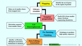 Mapping
Library
creation
Template
preparation
Gel
Electrophoresis
Pre finishing /
Finishing
Data Editing /
Annotation
‘
Make set of smaller clones
from mapped ones
Quality verification,
Biological annotation,
Submission to database
Identify the set of genes
in the region of genome
Purify DNA from smaller
clones. Perform
sequencing chemistries
Determine sequence
from smaller clones
Techniques to produce
high quality sequences
10
Source : www.biotechonweb.com
 