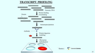TRANSCRIPT PROFILING
15
Source :
Genomic DNA
Protein binding
Crosslinking
Protein
Immunoprecipitation
Protein digestion
Labelling
Microarray
hybridization
Antibody
 