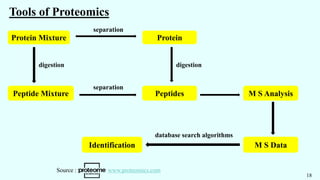 Tools of Proteomics
Peptide Mixture
Protein Mixture Protein
Peptides M S Analysis
M S Data
Identification
separation
separation
digestion digestion
database search algorithms
18
Source : www.proteomics.com
 