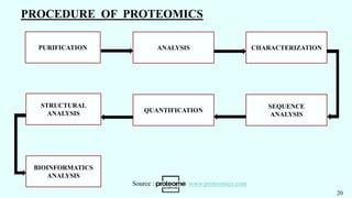 PURIFICATION
SEQUENCE
ANALYSIS
QUANTIFICATION
ANALYSIS CHARACTERIZATION
STRUCTURAL
ANALYSIS
BIOINFORMATICS
ANALYSIS
PROCEDURE OF PROTEOMICS
20
Source : www.proteomics.com
 