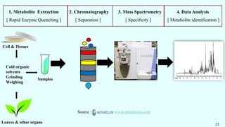 1. Metabolite Extraction 2. Chromatography 3. Mass Spectrometry 4. Data Analysis
[ Rapid Enzyme Quenching ] [ Separation ] [ Specificity ] [ Metabolite identification ]
Cell & Tissues
Leaves & other organs
Cold organic
solvents
Grinding
Weighing
Samples
23
Source : www.metabolon.com
 