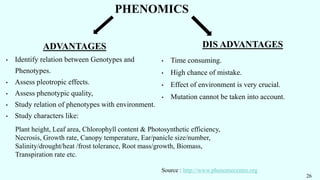 PHENOMICS
ADVANTAGES
• Identify relation between Genotypes and
Phenotypes.
• Assess pleotropic effects.
• Assess phenotypic quality,
• Study relation of phenotypes with environment.
• Study characters like:
DIS ADVANTAGES
• Time consuming.
• High chance of mistake.
• Effect of environment is very crucial.
• Mutation cannot be taken into account.
26
Source : http://www.phenomecentre.org
Plant height, Leaf area, Chlorophyll content & Photosynthetic efficiency,
Necrosis, Growth rate, Canopy temperature, Ear/panicle size/number,
Salinity/drought/heat /frost tolerance, Root mass/growth, Biomass,
Transpiration rate etc.
 