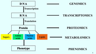 GENOMICS
TRANSCRIPTOMICS
PROTEOMICS
Transcription
Translation
Lipids
Nucleic
acids
Amino
acids
Sugars METABOLOMICS
PHENOMICS
4
 