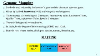 Genome Mapping
֍ Methods used to identify the locus of a gene and the distances between genes.
֍ Given by Alfred Sturtvent (1915) in Drosophila melanogaster.
֍ Traits mapped : Morphological Characters, Productivity traits, Resistance Traits,
Quality Traits, Agronomic Traits, Special Characters.
֍ To study linkage and recombination.
֍ In India, by the Depart of Biotechnology [DBT] and ICAR.
֍ Done in rice, wheat, maize, chick pea, banana, tomato, Brassica, etc.
7
MAPPING
GENETIC
MAP
CYTOGENETIC
MAP
PHYSICAL
MAP
 