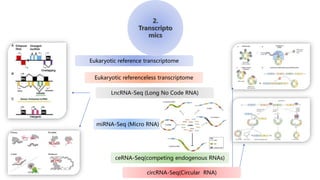 Transcriptological Analysis Bioinformatics Omics | PPTX