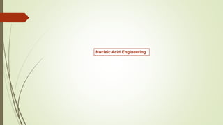 Nucleic Acid Engineering
 