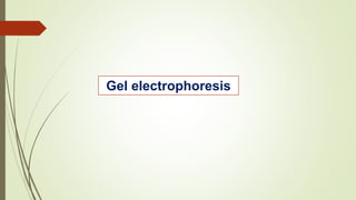 Gel electrophoresis
 