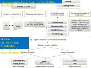 Stress-responsive transcription Factors DataBase
(STIFDB)
Database
for Annotation,
Visualization
and Integrated
Discovery (DAVID )
 
