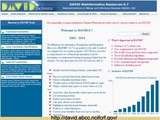 http://david.abcc.ncifcrf.gov/
 