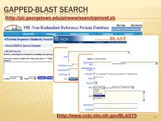GAPPED-BLAST SEARCH
31
(http://pir.georgetown.edu/pirwww/search/pirnref.sh
tml)
(http://www.ncbi.nlm.nih.gov/BLAST/)
 