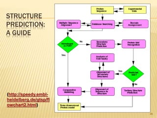 STRUCTURE
PREDICTION:
A GUIDE
46
(http://speedy.embl-
heidelberg.de/gtsp/fl
owchart2.html)
 