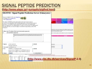 SIGNAL PEPTIDE PREDICTION
48
(http://www.stepc.gr/~synaptic/sigfind.html)
(http://www.cbs.dtu.dk/services/SignalP-2.0)
 