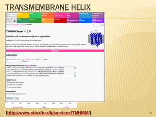 TRANSMEMBRANE HELIX
49(http://www.cbs.dtu.dk/services/TMHMM/)
 