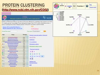 PROTEIN CLUSTERING
54
(http://www.ncbi.nlm.nih.gov/COG/)
 