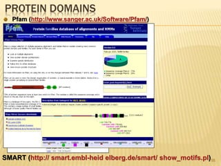 PROTEIN DOMAINS
55
Pfam (http://www.sanger.ac.uk/Software/Pfam/)
SMART (http:// smart.embl-heid elberg.de/smart/ show_motifs.pl)
 