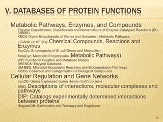 V. DATABASES OF PROTEIN FUNCTIONS
Metabolic Pathways, Enzymes, and Compounds
Enzyme Classification: Classification and Nomenclature of Enzyme-Catalysed Reactions (EC-
IUBMB)
KEGG (Kyoto Encyclopedia of Genes and Genomes): Metabolic Pathways
LIGAND (at KEGG): Chemical Compounds, Reactions and
Enzymes
EcoCyc: Encyclopedia of E. coli Genes and Metabolism
MetaCyc: Metabolic Encyclopedia (Metabolic Pathways)
WIT: Functional Curation and Metabolic Models
BRENDA: Enzyme Database
UM-BBD: Microbial Biocatalytic Reactions and Biodegradation Pathways
Klotho: Collection and Categorization of Biological Compounds
Cellular Regulation and Gene Networks
EpoDB: Genes Expressed during Human Erythropoiesis
BIND: Descriptions of interactions, molecular complexes and
pathways
DIP: Catalogs experimentally determined interactions
between proteins
RegulonDB: Escherichia coli Pathways and Regulation
58
 