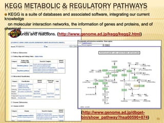 KEGG METABOLIC & REGULATORY PATHWAYS
59
(http://www.genome.ad.jp/dbget-
bin/show_pathway?hsa00590+874)
KEGG is a suite of databases and associated software, integrating our current
knowledge
on molecular interaction networks, the information of genes and proteins, and of
chemical
compounds and reactions. (http://www.genome.ad.jp/kegg/kegg2.html)
 