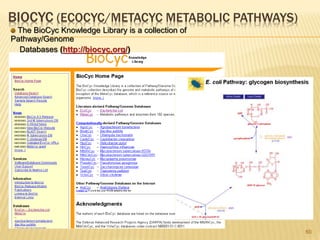 BIOCYC (ECOCYC/METACYC METABOLIC PATHWAYS)
60
The BioCyc Knowledge Library is a collection of
Pathway/Genome
Databases (http://biocyc.org/)
 