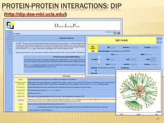 61
PROTEIN-PROTEIN INTERACTIONS: DIP
(http://dip.doe-mbi.ucla.edu/)
 