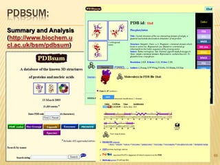 PDBSUM:
66
Summary and Analysis
(http://www.biochem.u
cl.ac.uk/bsm/pdbsum)
 