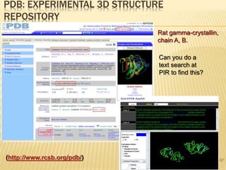 67
PDB: EXPERIMENTAL 3D STRUCTURE
REPOSITORY
(http://www.rcsb.org/pdb/)
Rat gamma-crystallin,
chain A, B.
Can you do a
text search at
PIR to find this?
 