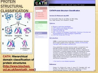 PROTEIN
STRUCTURAL
CLASSIFICATION
70
CATH: Hierarchical
domain classification of
protein structures
(http://www.biochem.
ucl.ac.uk/bsm/cath_new/)
 