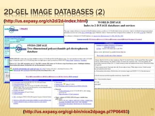 2D-GEL IMAGE DATABASES (2)
73
(http://us.expasy.org/ch2d/2d-index.html)
(http://us.expasy.org/cgi-bin/nice2dpage.pl?P06493)
 