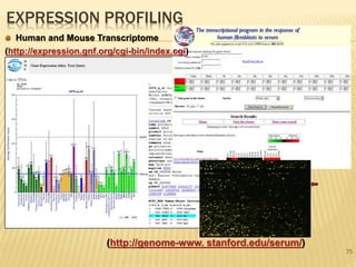 EXPRESSION PROFILING
75
Human and Mouse Transcriptome
(http://expression.gnf.org/cgi-bin/index.cgi)
(http://genome-www. stanford.edu/serum/)
 