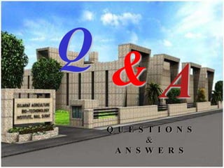 Q & A
Q U E S T I O N S
&
A N S W E R S
 