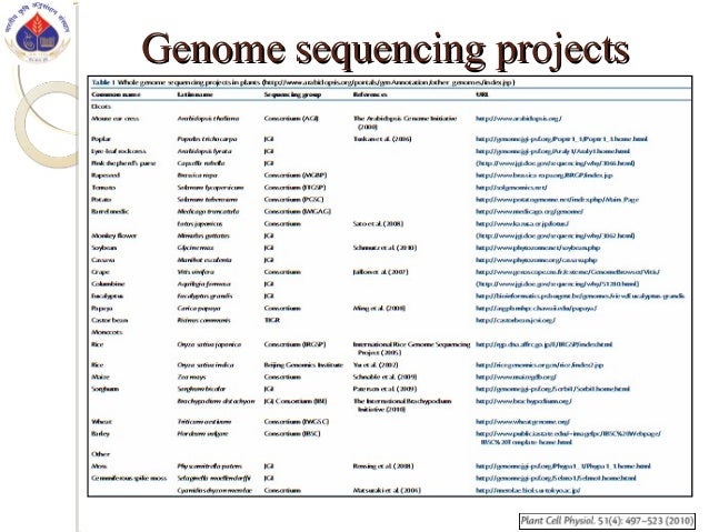 mycobacterial species as case-study of comparative genome analysis Mybase is thus developed to study genomic and evolution by comparative genomic analysis of mycobacterial species through species in mycobactierum genus. mycobacterial species as case-study of comparative genome analysis Mybase is thus developed to study genomic and evolution by comparative genomic analysis of mycobacterial species through species in mycobactierum genus.