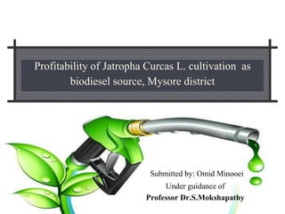 Profitability of Jatropha Curcas L. cultivation as
biodiesel source, Mysore district
Submitted by: Omid Minooei
Under guidance of
Professor Dr.S.Mokshapathy
 