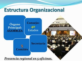 Estructura Organizacional
Órgano
Principal:
ASAMBLEA

Consejo:

5

40
Estados

Secretaría

Comités

Presencia regional en 5 oficinas.

 