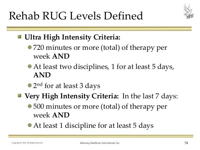 rug levels home decor rug levels chart