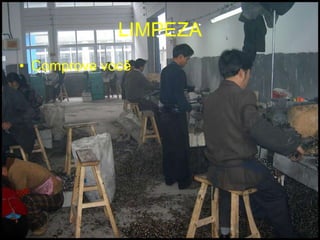 LIMPEZA Comprove você 