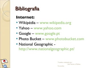 Bibliografia Internet: Wikipédia –  www.wikipedia.org Yahoo –  www.yahoo.com Google –  www.google.pt Photo Bucket –  www.photobucket.com National Geographic -  http://www.nationalgeographic.pt/ Trabalho realizado por:  Ana Nunes e Melissa Fernandes 
