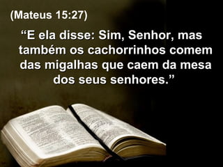 “ E ela disse: Sim, Senhor, mas também os cachorrinhos comem das migalhas que caem da mesa dos seus senhores.”  (Mateus 15:27) 
