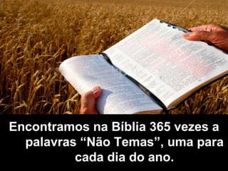 Encontramos na Bíblia 365 vezes a palavras “Não Temas”, uma para cada dia do ano. 