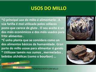 USOS DO MILLO
*O principal uso do millo é alimentario . A
súa fariña é moi utilizada polos celíacos
posto que carece de glute . O seu aceite é un
dos máis económicos e dos máis usados para
fritir alimentos .
*É unha planta que se considera como un
dos alimentos básicos da humanidade. Gran
parte do millo usase para alimentar ó gando .
* Utilízase tamén nos zumos , mermeladas ,
bebidas alchólicas (como o bourbon) …

PLÁSTICO FEITO CON MILLO

 