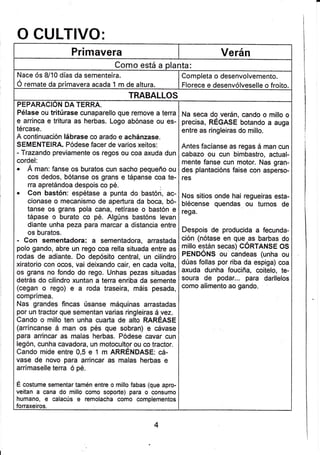 O CULTIVO:
Primavera Verán
Como está a planta:
Nace ós 8/10 días da sementeira.
Ó remate da primavera acada 1 m de altura.
Completa o desenvolvemento.
Florece e desenvólveselle o froito.
TRABALLOS
PEPARACION DA TERRA.
Pélase ou tritúrase cunaparello que remove a terra
e arrinca e tritura as herbas. Logo abónase ou es-
tércase.
A continuación lábrase co arado e achánzase.
SEMENTEIRA. Pódese facer de varios xeitos:
- Trazando previamente os regos ou coa axuda dun
cordel:
. Á man: fanse os buratos cun sacho pequeño ou
cos dedos, bótanse os grans e tápanse cra te-
rra apretándoa despois co pé.
. Con bastón: espétase a punta do bastóri, ac-
cionase o mecanismo de apertura da boca, bó-
tanse os grans pola cana, retírase o bastón e
tápase o burato co pé. Algúns bastóns levan
diante unha peza para marcar a distancia entre
os buratos.
- Con sementadora: a sementadora, arrastada
polo gando, abre un rego coa rella situada entre as
rodas de adiante. Do depósito central, un cilindro
xiratorio con ocos, vai deixando cair, en cada volta,
os grans no fondo do rego. Unhas pezas situadas
detrás do cilindro xuntan a terra enriba da semente
(cegan o rego) e a roda traseira, máis pesada,
comprímea.
Nas grandes fincas úsanse máquinas arrastadas
por un traclor que sementan varias ringleiras á,vez.
Cando o millo ten unha cuarta de alto RAREASE
(arríncanse á man os pés que sobran) e cávase
para arrincar as malas herbas. Pódese cavar cun
legón, cunha cavadora, un motocultor ou co tractor.
Cando mide entre 0,5 e 1 m ARRÉNDASE: cá-
vase de novo para arrincar as malas herbas e
arrímaselle terra ó pé.
É costume sementar tamén entre o millo fabas (que apro-
ve¡tan a cana do millo como soporte) para o consumo
humano, e calacús e remolacha como complementos
forraxeiros.
Na seca do verán, cando o millo o
precisa, REGASE botando a auga
entre as ringleiras do millo.
Antes facíanse as regas á man cun
cabazo ou cun bimbastro, actual-
mente fanse cun motor. Nas gran-
des plantacións faise con asperso-
res
Nos sitios onde hai regueiras esta-
blécense quendas ou turnos de
rega.
Despois de producida a fecunda-
ción (nótase en que,as barbas do
millo e9tán secag) CORTANSE OS
PENDONS ou candeas (unha ou
dúas follas por riba da espiga) coa
axuda dunha fouciña, coitelo, te-
soura de podar... para darllelos
como alimento ao gando.
 