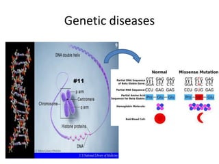 Omim | PPT