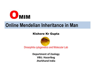 OMIM
Kishore Kr Gupta
Drosophila cytogenetics and Molecular Lab
Department of Zoology
VBU. Hazaribag
Jharkhand India
Online Mendelian Inheritance in Man
 