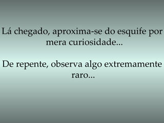 Lá chegado, aproxima-se do esquife por  mera curiosidade... De repente, observa algo extremamente  raro... 