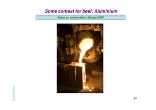 Some context for beef: Aluminium

Paul Mahony 2013

Based on conservative 100 year GWP

43

 