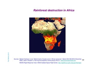 Paul Mahony 2013

Rainforest destruction in Africa

Sources: Mahesh Sankaran, et al, “Determinants of woody cover in African savannas”, Nature 438, 846-849 (8 December
2005), cited in Russell, G. “Burning the biosphere, boverty blues (Part 2)”, www.bravenewclimate.com
MODIS Rapid Response Team, NASA Goddard Space Flight Center, http://rapidfire.sci.gsfc.nasa.gov/firemaps/

64

 